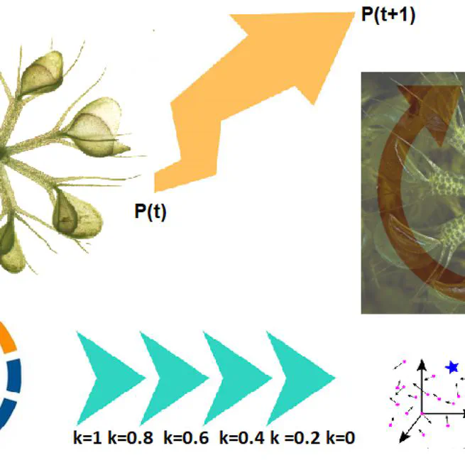 Optimizing Student Performance Prediction Using Waterwheel Plant Algorithm